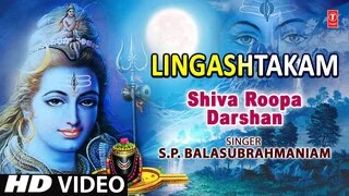 Lingashtakam Lyrics In Hindi